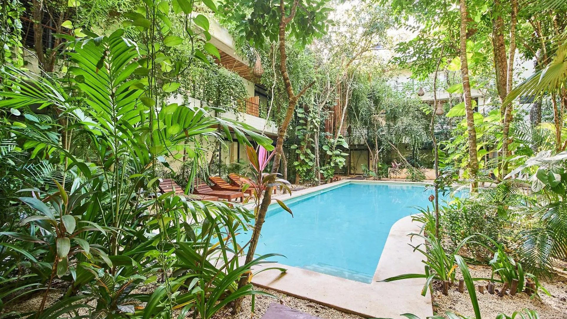 Tulum Jungle Penthouse With Private Pool Appartement 0*,  Mexico