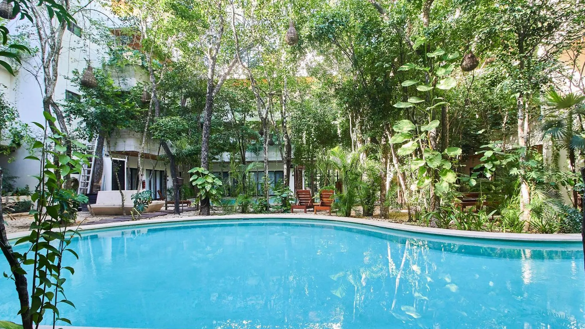 Tulum Jungle Penthouse With Private Pool Appartement 0*,