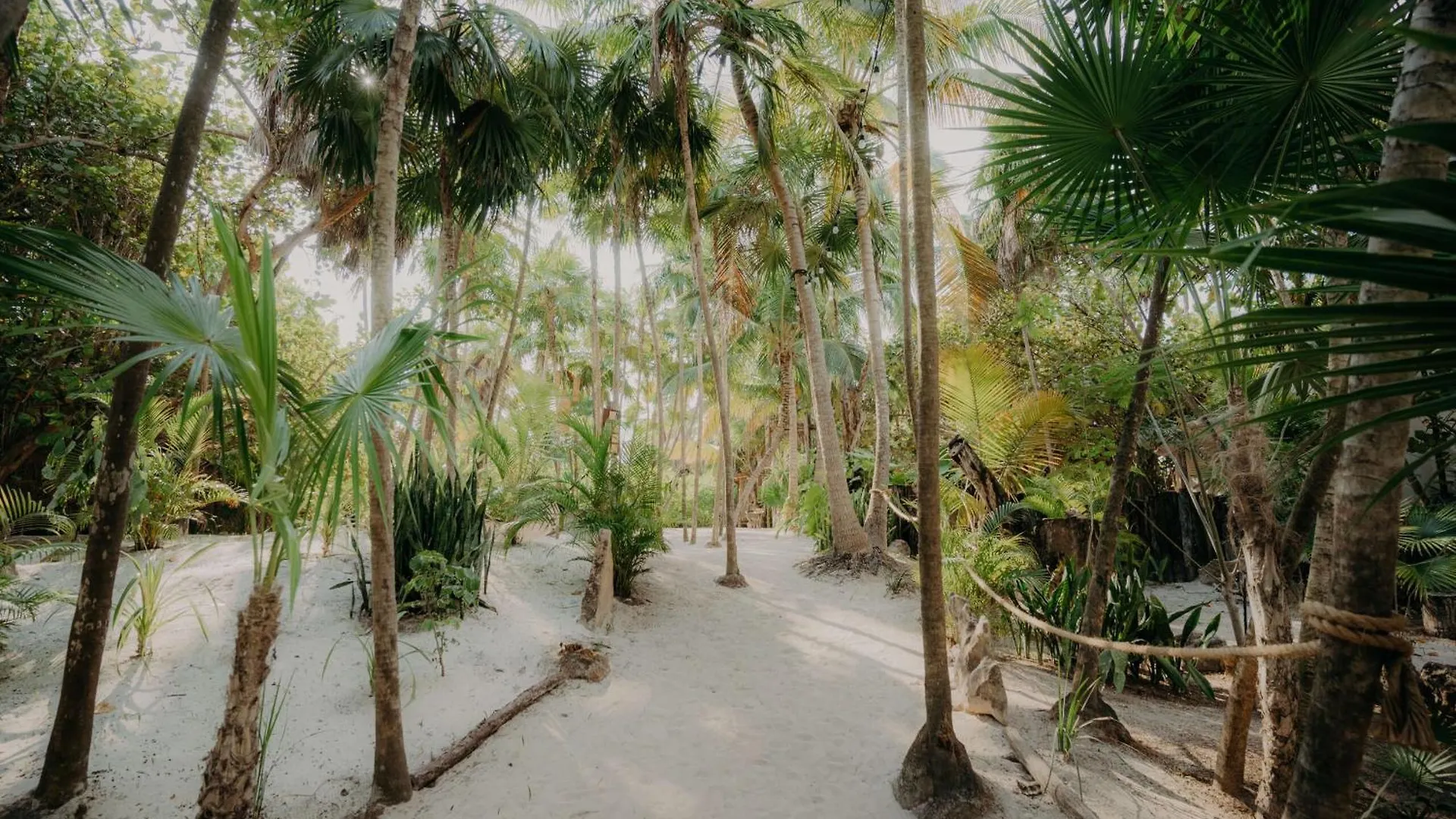 شقة Tulum Jungle Penthouse With Private Pool المكسيك